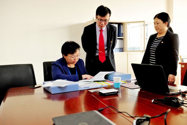 专家徐惠查阅学校评估支撑材料 专家徐惠查阅学校评估支撑材料