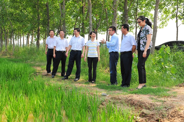 校领导在帮包村现场调研