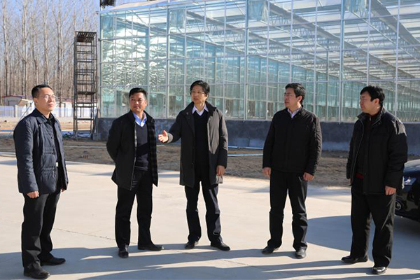 查看建设中的三春集镇现代农业扶贫生态园区（春博园）